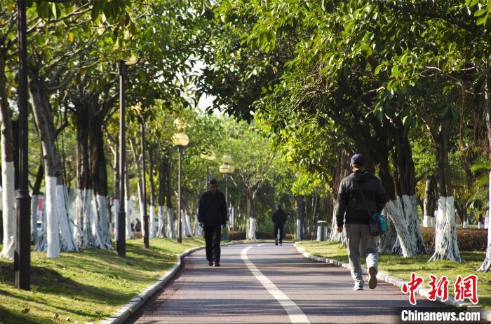 圖為市民、游客在海灣綠道散步?！〉岳顝?qiáng) 攝