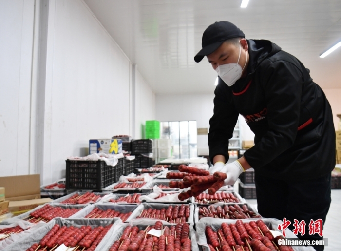 1月18日，雄安新區(qū)大樹劉莊村辛愛青家中的冰糖葫蘆加工廠，工人正在制作冰糖葫蘆。作為遠近聞名的“冰糖葫蘆村”，大樹劉莊村制作冰糖葫蘆的歷史已有100多年，全村三分之二的村民都會這門手藝，吸引不少游客慕名而來。 中新社記者 韓冰 攝