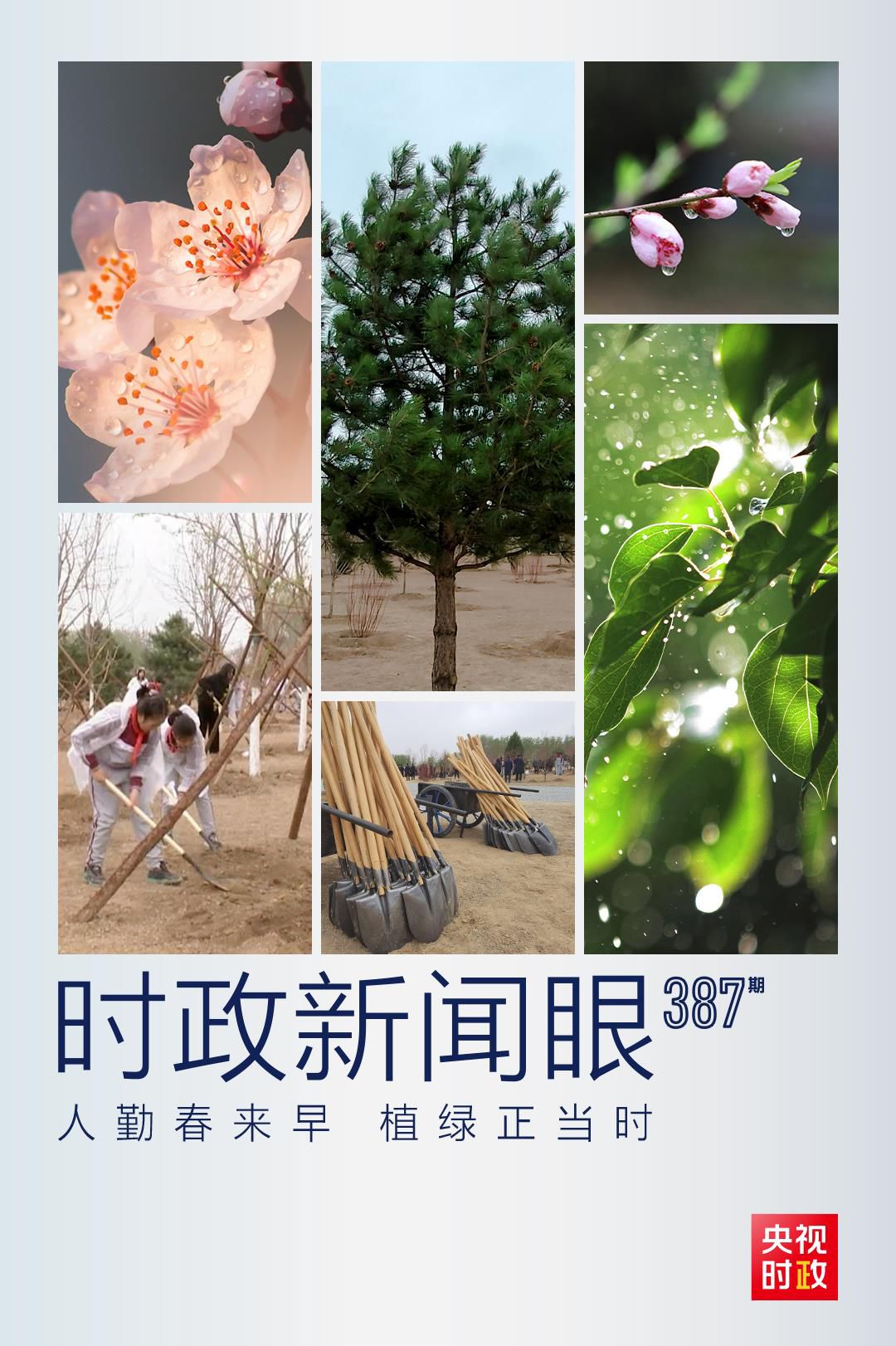 在今年首都義務(wù)植樹現(xiàn)場，習(xí)近平這三句話飽含深意